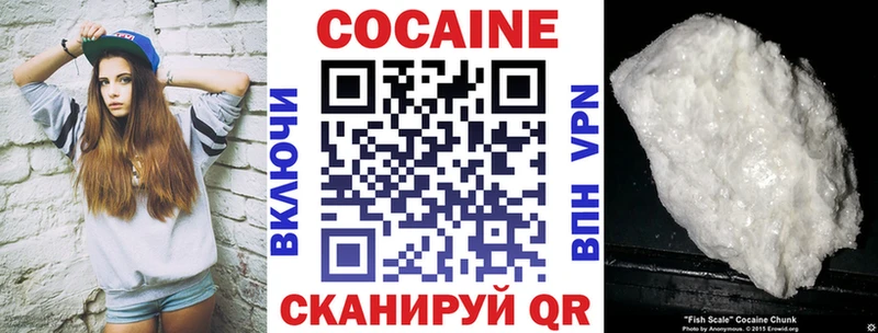 Cocaine FishScale  купить закладку  Бирск 
